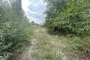 Building land in Mantova 4