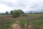 Building lands in Fondi (LT) - LOT 37 4