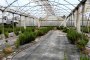 N. 7 Arched Structures for Greenhouses 2