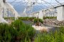 N. 7 Arched Structures for Greenhouses 3