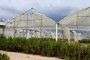 N. 4 Arched Structures for Greenhouse 3