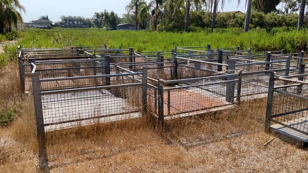 Greenhouse Structures - Machinery and Equipment - Bank 22/2022 - Latina Law Court - Sale 3