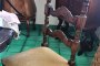 4 Столице са котурима 2