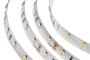 Strisce Led - A 5