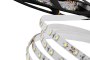Led Strips - C 3