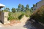 Ruined warehouse and land in Alcamo (TP) 3