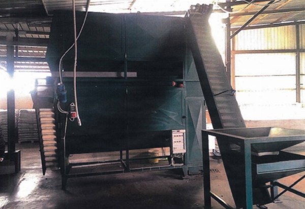 Chestnut processing - Machinery and equipment - Bank. 43/2019 - Avellino L.C. - Sale 3