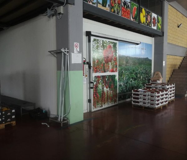 Fruit and vegetable distribution - Equipment and vehicles - Cred. Agreem. 11/2018 - Gela L.C. - Sale 2