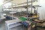 Vegetable Processing Line and Aligner Tape 3