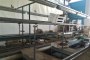 Vegetable Processing Line and Aligner Tape 4