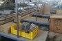 Artichoke Processing Line 4