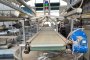 Artichoke Processing Line 2