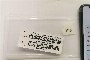 iPhone 11 64 GB - Used 3