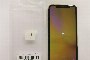 iPhone XR 64 GB - Usato 2