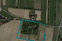 Compendio imobiliário com terrenos anexos em Favaro Veneto (VE) - LOTE 2 1