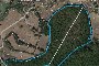 Woody Material - Woodland Cutting Concession 1