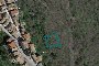 Agricultural land in Tufillo (CH)  - LOT 12 1