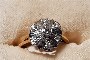 Anello Oro Giallo 18 Carati - Diamanti 0,10 ct - Diamanti 0,19 ct - Rosetta 1