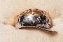 Anillo Oro Amarillo y Oro Blanco 18 Quilates 1