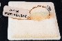 Anell Or Rosa 18 Quilates - Diamants 0,05 ct 2