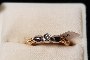 Bague Or Jaune et Or Blanc 18 Carats - Diamants 1