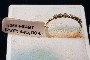 Anell Or Groc 18 Quilates - Diamants 0.10 ct 2