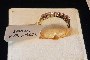 Antello Oro Amarillo de 18 Quilates - Diamantes 0,32 ct 2