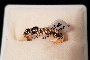 Anillo Oro Amarillo 18 Quilates - Diamantes 0.12 ct 1
