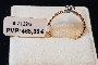 Anell Or Rosa 18 Quilates - Diamants 0,05 ct 2