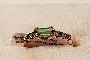 18 Carat Rose Gold Ring - Diamonds 1
