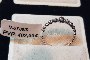 Anell Or Blanc 18 Quilates - Diamants 0.03 ct 2