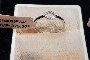 Anell Or Blanc 18 Quilates - Diamants 0.02 ct 2