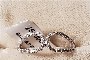 Anell Or Blanc 18 Quilates - Diamants 0.07 ct 1