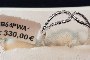 Anell Or Blanc 18 Quilates - Diamants 0.07 ct 2