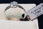 Bague en Or Blanc 18 Carats - Diamants 0,25 ct 2