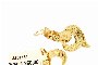 Gold Necklace Clasp 18 Carat - Diamonds 2