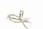 Broche Or Blanc 18 Carats - Diamants 2