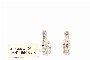 White Gold Hoop 18 Carat - Diamonds 2