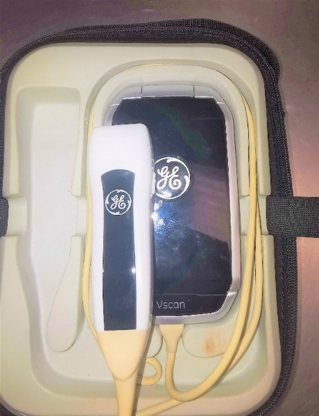 Ge Vscan Digital Ecotomograph - Capital Goods from Leasing - Intrum Italy S.p.A. - Sale 2