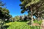 Building area in Bari - LOT 4 2