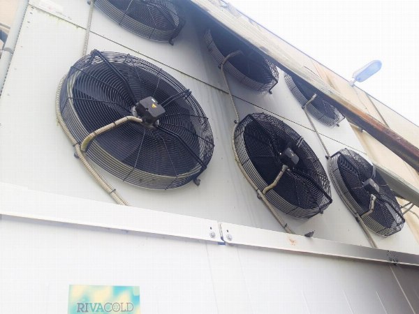 Ford Transit Connect - Cooling system - Bank 7/2022 - Campobasso law court