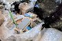Various Spare Parts 6