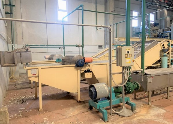 Processing of tomatoes and citrus fruits - Bank. 6/2022 - Castrovillari Law Court - Sale 3