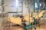 Citrus Fruit Processing Line 2