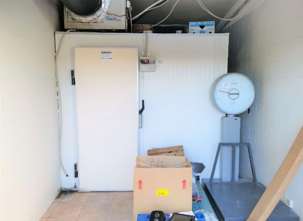 Catering furniture and equipment - Vehicles-  Jud.Liq 27/2022 - Firenze law court - Sale 2