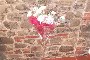 Home Furniture, Prints and Paintings 6