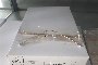 N. 10976 Frames and N. 815 Eyewear Samples 2