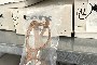 N. 3645 Glasses Frames 3