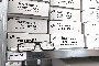 Preassembled Glasses - N. 16462 Pairs 3