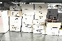 Sunglasses - N. 1341Pairs 2